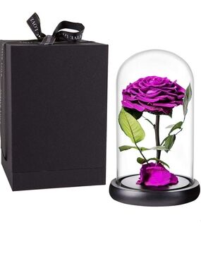 Fresh Purple Rose Preserved In A  Glass Dome - 9 Inch